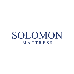 https://static.homepro.co.th/seller/shop/1282/resize_256x256_1740035440453-LOGO SOLOMON-01.png